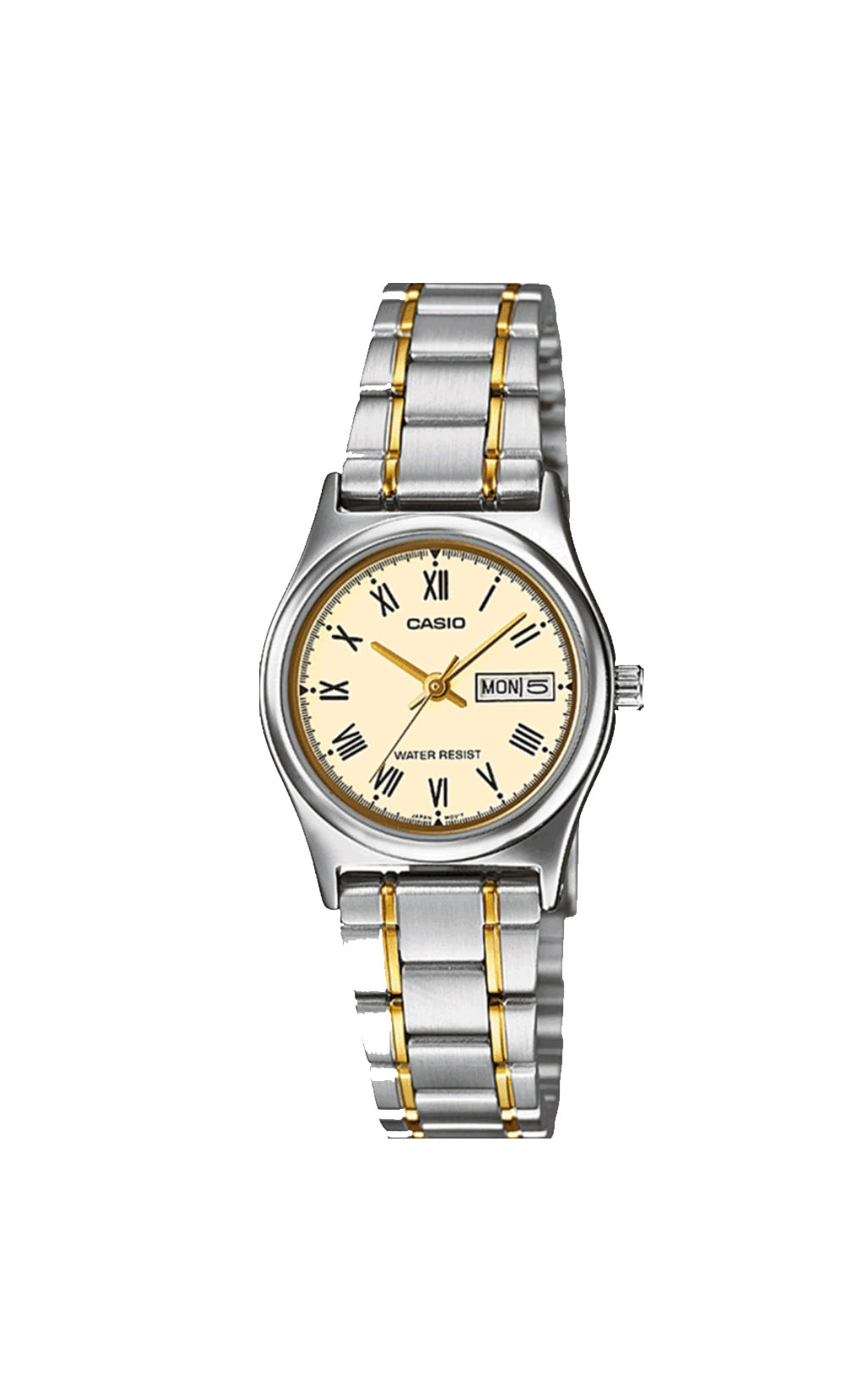 CASIO